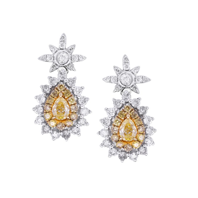 Nai Fancy Diamond Earrings